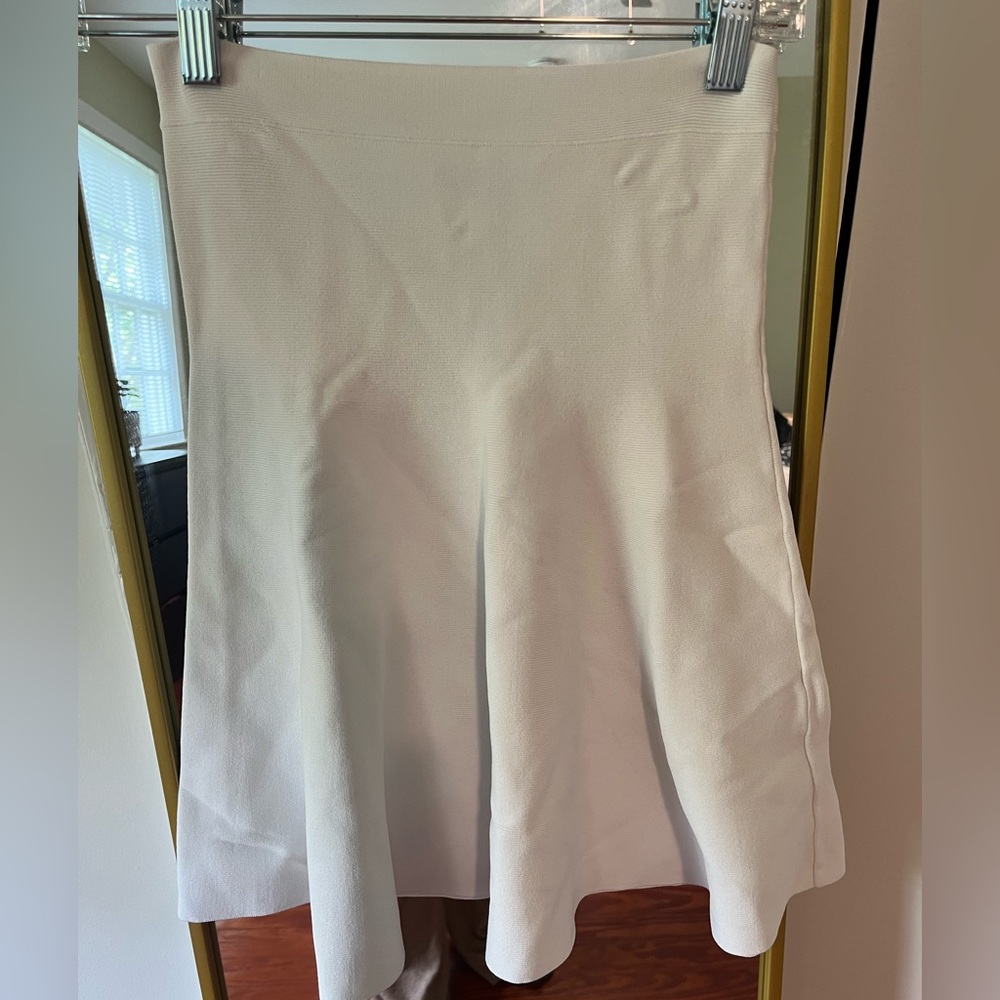 BCBG fit and flare mini skirt